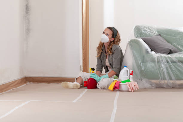 Reliable Mold Remediation contractor in Grand Prairie, TX by Mold Remediation HQ
